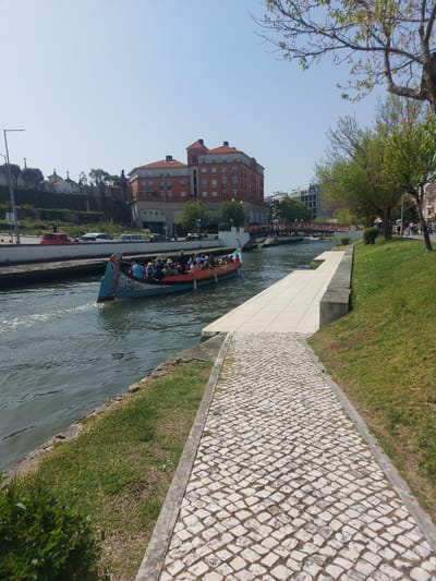 The image captures a canal scene in Aveiro, Portugal, featuring a moliceiro boat filled with tourists navigating the waterway. The boat is distinctively decorated, indicative of traditional Portuguese design. The canal runs between buildings and under bridges, with a view of the cityscape extending beyond the waterway. Cobblestone walkways and grassy banks line the canal, providing pedestrian access along the water's edge. The sky is clear, suggesting a sunny day.