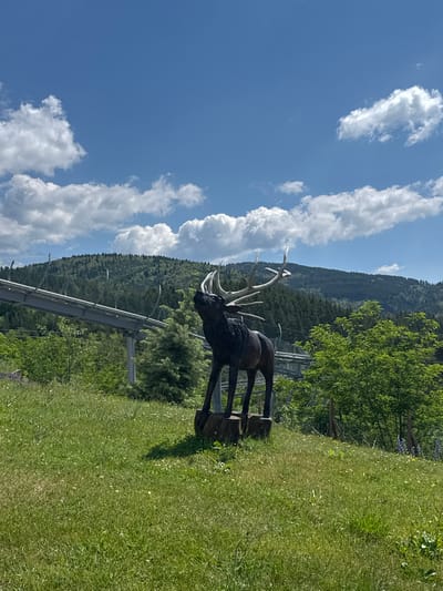 In Yurukovo, Bulgaria, on a sunny day, a dark sculpture of a stag with large antlers stands on a wooden base in a grassy field. Behind the sculpture, a roller coaster track winds its way up a forested hill under a bright blue sky with fluffy white clouds. The foreground is dominated by a lush green meadow dotted with small white flowers. The overall scene depicts an outdoor recreational area with a natural mountainous backdrop.
