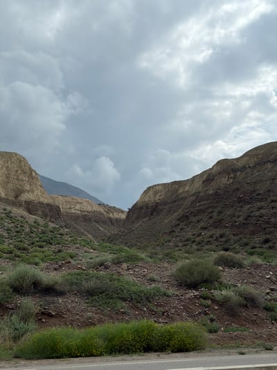The image displays a rugged, mountainous landscape with a narrow, natural pass or canyon. The terrain is characterized by steep, eroded hillsides composed of layered rock and soil in shades of tan, brown, and dark grey. Sparse vegetation, primarily low-lying shrubs and grasses in various shades of green, dots the slopes. In the foreground, a patch of vibrant yellow wildflowers is visible along the base of the hill, bordering a paved road. The sky above is overcast with heavy, grey clouds, suggesting a cloudy or possibly inclement weather day. The overall scene is one of natural, untamed wilderness. There are no people or animals visible in the image. The location is identified as being in the vicinity of the city of Krasnyy Most, Kyrgyzstan.