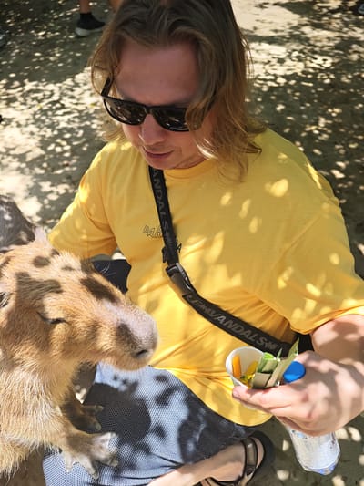 A person wearing a yellow t-shirt and sunglasses is sitting outdoors, interacting with a capybara. The capybara is resting on the person's lap, with its head facing left. The person is holding a cup filled with what appears to be food for the capybara, and also a bottle of water. The ground is sandy with dappled sunlight filtering through overhead foliage. The scene is likely in Phước Hải, Vietnam, given the context.