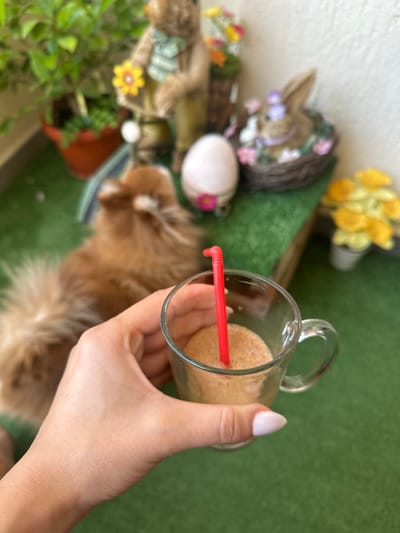 The scene depicts an outdoor balcony or patio area in Petrich, Bulgaria, covered with artificial green turf. In the immediate foreground, a light-skinned human hand with pale, pointed fingernails holds a clear glass mug containing a frothy, light brown beverage with a red, flexible straw. Behind the hand and mug, a fluffy, light brown dog is partially visible, seated on the green turf. The background features various decorative items, including a large white egg, a brown bunny figurine nestled in a woven basket adorned with a purple ribbon and small pink flowers, and another figurine holding a yellow flower. Potted plants with green foliage and a small pot of yellow flowers are also visible against a light-colored wall.