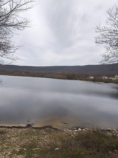 The image depicts a calm lake in Орлиновский округ, Ukraine, under an overcast sky. Bare tree branches frame the upper corners of the image. The water surface is relatively still, with subtle reflections of the sky. The shoreline is rocky and grassy, transitioning into a brown field with sparse green vegetation. In the background, a low hill or mountain range is visible, and a cluster of houses is situated along the lake's edge. The scene appears tranquil and natural, with the lake as the focal point.