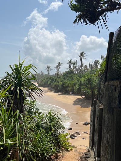 This image depicts a tropical beach scene in Midigama, Sri Lanka. In the foreground, lush green pandanus plants with spiky leaves partially obscure the view. To the right, a weathered concrete structure with a wire mesh fence runs vertically along the frame. Beyond this, a sandy beach stretches along a gentle curve of coastline. Waves from the turquoise ocean are lapping at the shore, where scattered dark rocks are visible. The beach is backed by a dense line of palm trees and other verdant vegetation, creating a natural barrier. The sky above is a bright blue, punctuated by scattered white clouds. The overall impression is one of a secluded and picturesque tropical getaway.