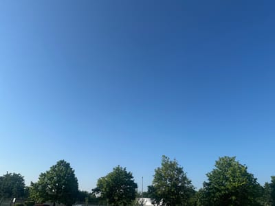 The image displays a clear blue sky above a line of trees. The trees are green and lush, with some appearing to be deciduous. In the background, there are hints of buildings or structures, suggesting an urban or semi-urban environment. The overall scene is one of a pleasant, sunny day. The image does not contain any people or discernable actions.