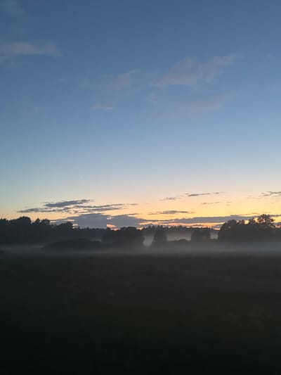 The image shows a serene landscape at dawn or dusk, bathed in soft, cool light. The sky transitions from a pale blue at the top to a delicate gradient of soft oranges and yellows near the horizon, indicating the presence of the sun just below the visible plane. A few wispy clouds drift across the sky, adding texture. A solitary, faint star is visible in the upper sky.
In the mid-ground, a dark silhouette of a dense forest line stretches across the image. A layer of mist or fog blankets the lower parts of the trees and the ground in front of them, creating a hazy, ethereal effect. The mist partially obscures the details of the forest, giving the scene a dreamlike quality.
The foreground consists of a dark, indistinct field, appearing almost black due to the low light conditions. There are no visible people, animals, or specific man-made structures. The overall atmosphere is peaceful and quiet, characteristic of a rural or natural setting.
The scene is described as being in the city of Егорье, Russia. While the image itself does not contain specific visual cues to confirm this location, this information is provided as context.