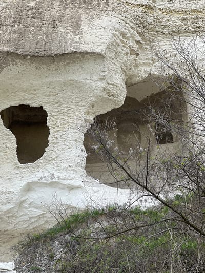 The image depicts a rock formation with multiple cave-like openings, likely located in the city of Nikopol, Bulgaria. The rock face is white and porous in texture, with visible signs of erosion. There are three distinct openings, one large and two smaller, each revealing a darker interior. A bare tree branch is seen partially obscuring the view, extending from the top right of the frame across the white rock. Vegetation, possibly bushes or grass, grows along the edge of the frame on the right side. The image appears to be shot during the daytime.