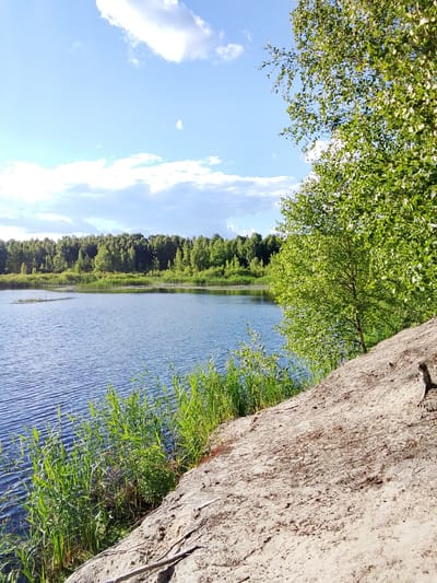 The image depicts a natural landscape scene by a body of water. A sandy embankment dominates the foreground, sloping downwards towards the left. Green reeds and vegetation grow along the edge of the water. The water itself is blue with visible ripples. In the background, a dense line of green trees forms the opposite bank of the lake or river. The sky above is a bright blue with scattered white clouds. The scene appears to be outdoors, possibly in a park or natural reserve, with no human presence or activity immediately evident. The specific location within 1-Go Maya, Russia, cannot be determined from the visual information provided in the image.