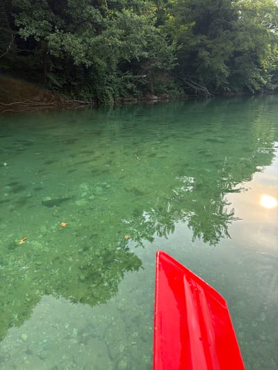 The image captures a serene scene from the perspective of a kayak or boat on a calm, clear river, likely the Neretva River near Konjic, Bosnia and Herzegovina, given the vegetation and water clarity. A bright red kayak paddle is visible in the foreground on the right side, partially submerged in the water, suggesting an activity like kayaking or canoeing. The water is exceptionally clear, allowing a view of the rocky riverbed below. Reflections of lush green trees and the bright sky, possibly with the sun shining, are mirrored on the water's surface, creating a tranquil and picturesque ambiance. The time of day appears to be daytime, likely late morning or early afternoon, judging by the sunlight. The weather seems pleasant and calm, as indicated by the smooth water. The dense foliage along the riverbank suggests a natural, possibly forested, environment. The overall mood is peaceful and contemplative, highlighting the beauty of the natural landscape. No visible text is present in the image.