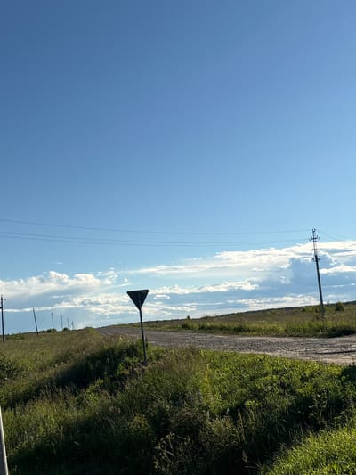 The image depicts a rural landscape under a bright blue sky with scattered white clouds. A dirt road curves through a grassy, undulating field, lined with tall green grass and scattered bushes. Several power lines stretch across the scene, supported by wooden poles. A black triangular road sign is prominently placed on the right side of the road. The overall impression is one of a quiet, open, and somewhat wild natural setting. The location is the city of Ostrovskoye, Russia.