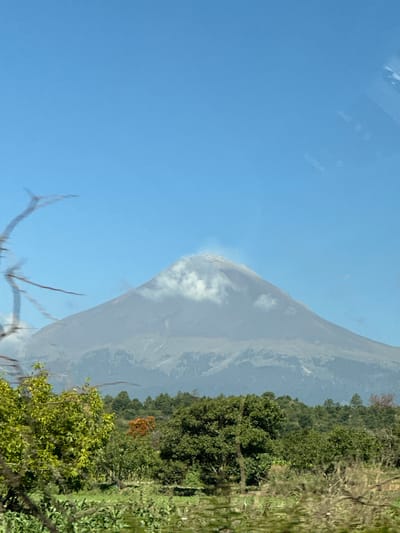 A wide, vertical shot shows a large, conical volcano against a clear blue sky. The volcano is mostly gray and hazy, with a plume of white smoke or steam rising from its summit. Clouds partially obscure the upper slopes of the volcano. In the foreground, there is a lush green landscape with trees and foliage. Some of the trees are tall and dense, while others are smaller and more shrub-like. A few dry, thorny branches are visible in the foreground, obscuring parts of the view. The location is identified as San Buenaventura Nealtican, Mexico.