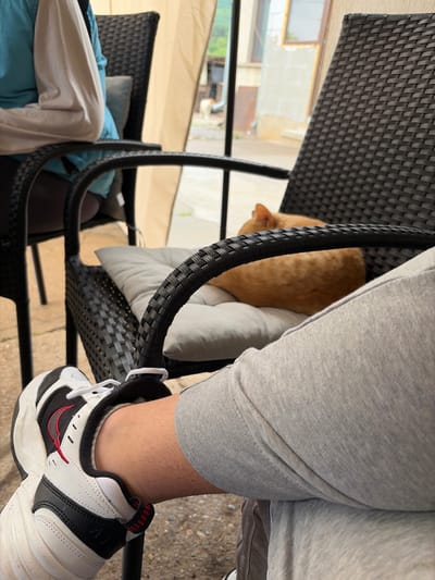 An eye-level, outdoor shot shows a person wearing grey sweatpants and white/black sneakers sitting in a dark wicker chair. A light brown cat is nestled against a white cushion in the chair. In the background, wicker furniture is visible under a light-colored awning with hints of the surroundings of Beli Izvor, Bulgaria. A window with a view of buildings is also seen. The image focuses primarily on the person's leg and shoe, the chair, and the cat.