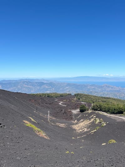 This image captures a panoramic view from a volcanic landscape near Linguaglossa, Italy. The foreground is dominated by a steep slope of dark volcanic ash and rocks, with sparse patches of green vegetation and a few dry, bare trees. A winding dirt road snakes its way through the volcanic terrain, disappearing into the distance. In the midground, a dense forest of green trees covers the rolling hills. Beyond the forest, a vast expanse of mountains stretches across the horizon, fading into a hazy blue. The sky is a clear, bright blue, with no clouds visible. The overall scene depicts a rugged and remote natural environment.
