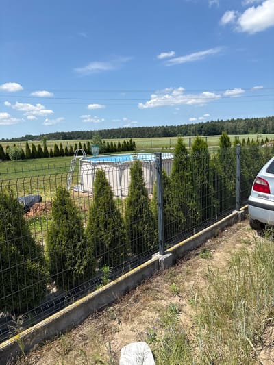 The image shows a fenced backyard with a swimming pool. The fence is made of dark metal mesh with evenly spaced vertical posts. Along the fence, there is a row of manicured evergreen trees. Inside the fence, a blue swimming pool with white coping is visible. A pool ladder and a net on a pole are near the pool. Beyond the pool, a large expanse of green grass stretches towards a dense line of dark green trees that form the background. In the upper right of the image, a white car with a red taillight and the word "RENAULT" on the back is partially visible, parked on a dirt and gravel area next to the fence. The sky above is a clear, bright blue with scattered white clouds and visible power lines running horizontally across it. The lighting suggests it is daytime, likely sunny with fair weather. The overall scene depicts a well-maintained residential property.