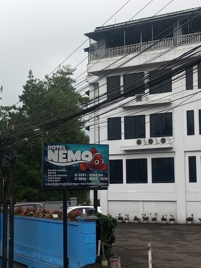 The image depicts a multi-story white building, identified as "Hotel Nemo" by a prominent blue billboard in the foreground. The sign features a cartoon clownfish and lists amenities such as a meeting room, restaurant, swimming pool, hot water, and free Wi-Fi, along with contact numbers and an address: "Jl. Raya Puncak KM 86 Cisarua, Bogor," located in Indonesia. This contradicts the user-provided location of Mandandawela, Sri Lanka.
The hotel building has dark, rectangular windows across its facade and three external air conditioning units mounted below a set of windows on the second visible floor. The uppermost floor features an open-air balcony with a white railing and a dark roof. Numerous black utility wires crisscross the upper half of the frame, partially obscuring the building and a light grey, overcast sky. To the left of the building and behind the sign, tall green trees are visible.
In the immediate foreground, a low blue wall runs horizontally, behind which what appear to be parked vehicles are partially visible. To the right, a paved area, likely a driveway or parking lot, is visible with a line of small potted plants positioned along the base of the hotel wall. Near the base of the hotel sign, a red bucket and some paint cans are on the ground. No individuals are visible in the scene.