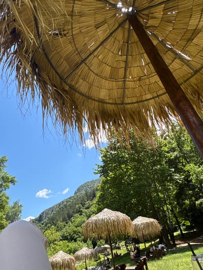The image depicts a sunny day at an outdoor seating area, possibly a cafe or restaurant, nestled within a lush green forest. In the foreground, the underside of a large thatched umbrella is visible, with its dried fronds casting shadows. To the right, a thick wooden pole supports the umbrella. The sky above is a clear blue with a few scattered white clouds.

Further into the scene, the environment opens up to reveal a verdant landscape with dense trees and a rocky mountain slope in the background. Several smaller thatched umbrellas are strategically placed throughout the grassy area, offering shade to patrons. People are seated on benches and chairs, some interacting with each other, while others appear relaxed. The overall atmosphere suggests a tranquil setting for outdoor leisure.

While the specific location within Zgorigrad, Bulgaria, is not explicitly indicated, the imagery points to a natural, possibly recreational or dining establishment situated in a mountainous, forested region.