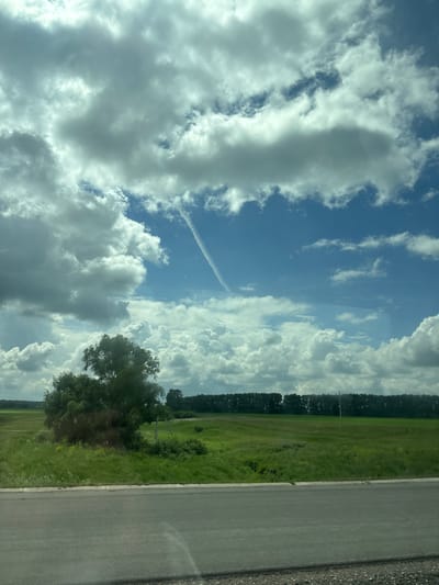 A wide-angle shot captures a vast, verdant landscape under a dynamic sky. The foreground features a gray asphalt road with a concrete curb. Beyond the road, a lush green field stretches out, dotted with patches of darker green grass and some yellow wildflowers. A large, leafy tree stands prominently to the left of the frame, its branches full and dense. In the background, a line of dark green trees forms a dense forest against the horizon. The sky is a striking contrast of deep blue and dramatic white clouds, some of which are thick and billowy, while others are thin and wispy. A faint white contrail from an aircraft cuts diagonally across the upper right portion of the sky. The scene is serene and natural, suggesting a rural or semi-rural environment, possibly on the outskirts of Таймурзино, Russia. No people or specific actions are visible.