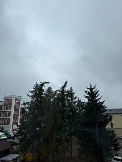 The image shows a street scene in Zielona Góra, Poland, on a cloudy day. In the foreground, the tops of several tall evergreen trees dominate the frame, their dark green needles stark against the overcast sky. Behind the trees, a modern brick building with white window frames and a lighter colored facade is visible. The building appears to be residential or office space, with multiple stories. To the right of the building, there are yellow recycling bins and several parked vehicles, including vans and cars. The lighting suggests it is daytime, but the weather is gloomy and overcast, creating a subdued atmosphere. The image is oriented vertically, with the sky occupying the upper half of the frame and the trees and buildings below. No people are clearly visible in the image. The overall impression is one of an urban environment experiencing a cloudy day.
