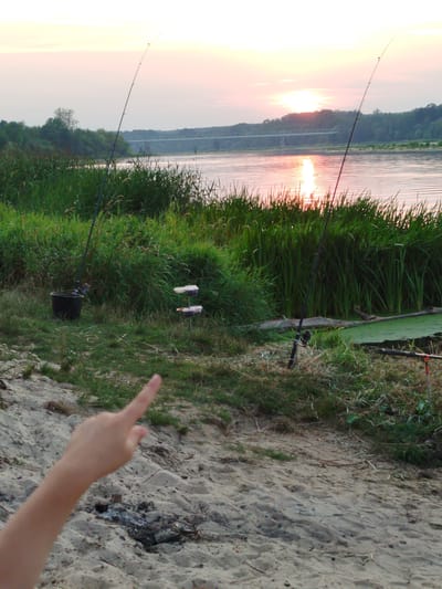This image depicts a serene sunset over the Bug River in Topolina, Poland, as viewed from a sandy riverbank. Two fishing rods are planted in the grassy bank, with their lines cast into the water. In the foreground, a dark bucket sits beside the fishing rods. Further back, a bridge spans the river in the distance. The sky is a soft gradient of pink and orange, reflecting on the calm water. The scene is populated by tall reeds and lush greenery lining the riverbank, creating a natural and tranquil setting. There is a person's hand in the bottom left corner of the image, pointing towards the scene.