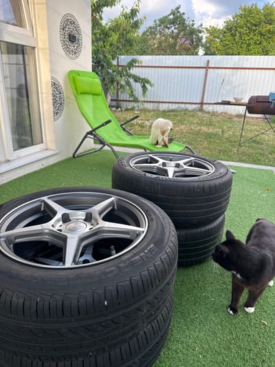 In an outdoor backyard setting, possibly in Добровское сельское поселение, Ukraine, a stack of four car tires sits on artificial grass. The top tire prominently displays a silver multi-spoke rim with the brand "Kumho." A black cat with white paws is positioned to the right of the tires, facing them. In the background, a light-colored dog sits on a green lounge chair. Beyond the dog and chair, a white corrugated metal fence encloses the yard, and trees are visible. A barbecue grill and a small table are situated near the fence. A portion of a white building with a window is visible on the left side of the image. The sky is cloudy.