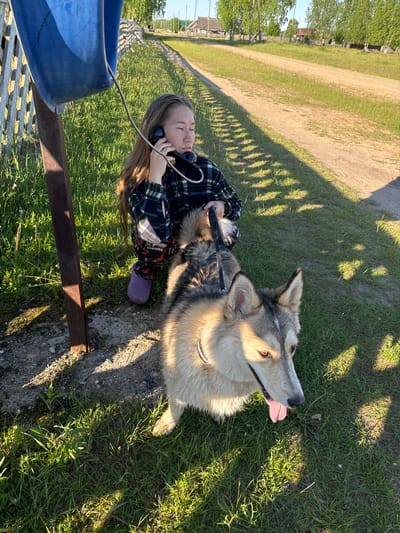 The image depicts a rural scene in Ust'-Silayka, Russia, characterized by warm, low-angle sunlight creating long shadows. A young female, appearing to be in her late teens or early twenties with long brown hair, is crouching or kneeling on the ground. She is wearing a dark plaid long-sleeved shirt, patterned black leggings, and purple slip-on shoes. She holds a black rotary telephone receiver to her left ear with her left hand, with her eyes closed or squinting, indicating she is engaged in a conversation. The telephone receiver is connected by a coiled cord to a blue, damaged, bucket-like enclosure mounted on a rusty metal post, presumably part of a public telephone station.

To the right and slightly in front of the female is a medium-to-large sized dog, possibly a Husky mix, with grey, tan, and white fur, amber eyes, and its tongue slightly extended. The female holds the dog's black leash with her right hand.

The immediate ground consists of sparse grass and packed earth, with a patch of concrete around the base of the telephone post. In the background, a dirt road with two distinct tracks stretches into the distance, flanked by lush green grass and numerous birch trees. Several wooden houses are visible further in the background along the road. A weathered white picket fence runs parallel to the dirt path behind the telephone station. Long, distinct shadows are cast across the ground by the fence, the telephone post, and vegetation, consistent with either early morning or late afternoon light.
