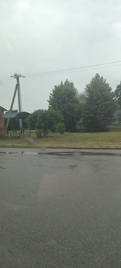 This media file depicts a wet asphalt road on a cloudy day, likely in Koviahy, Ukraine. The scene suggests recent rainfall, with puddles and reflections visible on the road surface. To the left of the road is a grassy verge bordered by a curb. Beyond the verge, several large trees with full green canopies dominate the middle ground, creating a lush, natural backdrop. In the background, a power pole with electrical wires stretches across the frame, indicating the presence of infrastructure within the area. Hints of structures, possibly buildings, can be seen behind the trees and near the power pole, suggesting a semi-rural or suburban setting. The overall mood is serene and damp, characteristic of overcast weather after rain. No people or specific activities are visible, making it a landscape-focused capture. The time of day appears to be daytime, but the heavy cloud cover obscures direct sunlight.