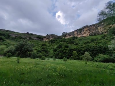 The image depicts a panoramic view of a natural landscape characterized by a steep, layered rock formation rising above a lush green valley. The sky is overcast with heavy clouds, with a small patch of brighter sky visible towards the upper center. The rock face is composed of horizontal strata of light brown and tan rock, with some vegetation growing on ledges and at its base. Below the rock formation, the valley is densely covered with various shades of green vegetation, including trees, shrubs, and a field of tall grass with scattered wildflowers in the foreground. The overall impression is one of rugged natural beauty under a diffused light. There are no people or man-made structures visible in the image, suggesting a remote, undeveloped natural area.
