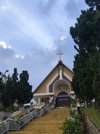 This image depicts the facade of a church, identified as a religious structure within the city of Dalat, Vietnam, due to architectural style and visible Vietnamese text. The church features a steep, pitched roof surmounted by a white cross. The building's exterior is characterized by light brown and dark brown (or reddish-brown) panels, forming geometric patterns around a large central archway.
Above the main entrance arch, a white, robed statue of a figure stands. The arch frames dark double doors, above which a colorful mosaic or mural is visible. A white sign with Vietnamese text, "TÔI SẼ THỜI ĐÀY TẾ CUNG CHẠI" (I will live in the temple), is affixed horizontally above the doors. Two white winged angelic figures are mounted on the facade, flanking the entrance at a lower level. To the left of the main entrance, a smaller, white-pillared portico is visible.
A broad, yellow-tiled staircase ascends directly to the church entrance, flanked by gray metal railings with integrated planters containing green foliage. Along the staircase and the periphery of the scene, numerous tall, dark green coniferous trees (possibly cypress or pine) are present. Patches of green grass and shrubs are visible on either side of the stairs.
One individual, dressed in a light blue top and dark trousers, is situated on the steps directly in front of the church doors, appearing to be sitting or kneeling.
The sky overhead is partly cloudy, with visible shafts of sunlight (crepuscular rays) breaking through clouds in the upper left quadrant of the image. A streetlamp on a tall pole is discernible behind trees on the far left. The scene suggests a tranquil, elevated setting.