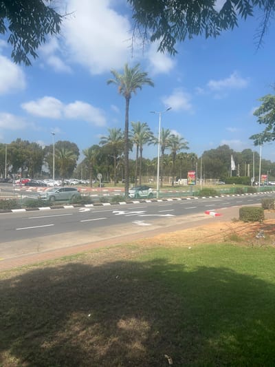 The image depicts a street scene in the city of Or Akiva, Israel, under a bright blue sky with scattered clouds. In the foreground, a paved road with white lane markings is visible, bordered by a sidewalk and a strip of grass. Beyond the road, a green fence separates the street from a parking lot filled with numerous cars, primarily white and silver. Palm trees and other deciduous trees line the background, creating a park-like setting. Several streetlights are also present, along with large advertising billboards. The overall impression is one of a sunny day in an urban or suburban environment with significant greenery.