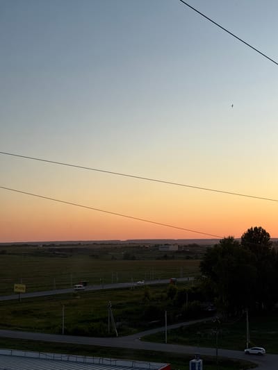 The image shows a rural landscape at dusk, likely in or near Засечное, Russia, with a view of fields, a road, and a distant treeline. A gradient of light blue to orange fills the sky, indicating sunset. Two prominent power lines stretch horizontally across the frame, with a single bird visible in flight against the lighter part of the sky. On the ground, a road curves through green fields, with a few vehicles, including a white van and a white car, visible. Several utility poles line the road. In the foreground, a grey rooftop structure is visible. The overall scene is serene and depicts a typical evening in a semi-rural environment.