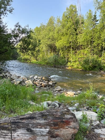 A wide river flows through a wooded area. The riverbank is rocky and covered with green grass. In the foreground, a large fallen log rests on the bank. The trees on the opposite bank are lush and green, indicating a summer season. The sky is clear and blue. The image captures a serene natural landscape.