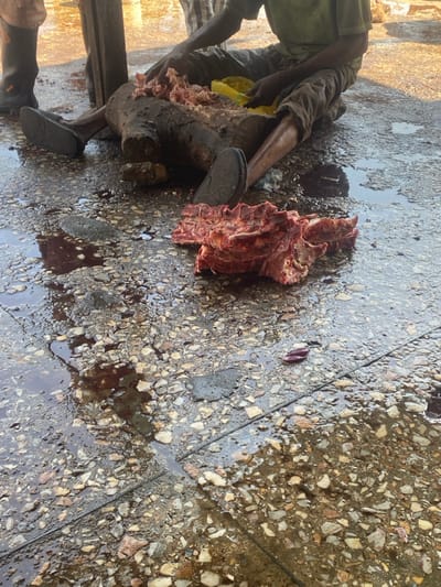 The image shows a person butchering meat on a damp, tiled surface. A piece of raw, red meat with bones lies next to a weathered wooden chopping block where the butchering is taking place. The person is wearing dark shoes and clothing with some yellow material visible. Blood is splattered around the area, and the wet tiles have a mottled appearance.