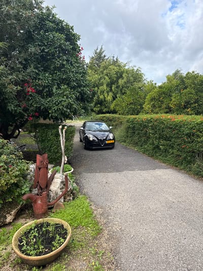 A black 2010-2018 Alfa Romeo Giulietta vehicle with Israeli license plate "283 54 201" is parked on an asphalt driveway in Beit Yitshak Sha'ar Hefer, Israel. The vehicle is angled slightly towards the left of the frame, facing the viewer. To the left foreground, a garden area features a rust-colored metal sculpture resembling an owl, constructed from pipe-like components, situated on a stone base. Behind this, two light-colored, vertical branch-like decorative elements are visible. A large, oval, light-brown planter containing small green sprouts and dark soil occupies the immediate left foreground. A large tree with dark green foliage and scattered red flowers or berries stands to the left of the driveway. To the right, a well-maintained green hedge, approximately waist-height, with intermittent orange blooms or berries, lines the driveway. Beyond the hedge, a grove of trees bearing visible oranges is present. The background features dense green foliage from various trees, extending towards an overcast sky with scattered grey and white clouds. The environment suggests a cultivated, semi-rural setting.