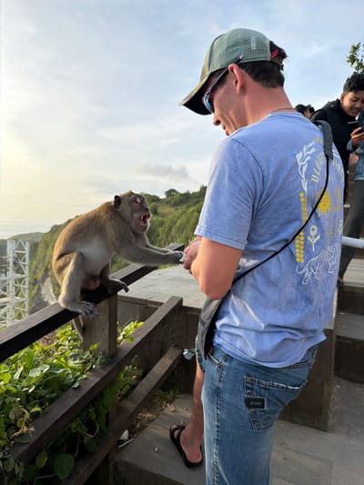An outdoor scene in Bunga Mekar, Indonesia, depicts a close interaction between an adult male and a macaque monkey at a cliffside viewpoint. The male, positioned on the right, wears a light blue short-sleeved t-shirt with a multi-colored graphic on the back, blue jeans, and black flip-flops. He has a green and grey baseball cap worn backwards with sunglasses perched on top and a black strap across his torso. He is leaning forward, directing his gaze and hands towards the monkey. The monkey, a brownish-grey macaque with visible testicles, is perched on a dark brown wooden railing on the left side of the frame. Its mouth is wide open, exposing teeth, and its front paws are extended towards the male's hands, suggesting an interaction involving food or an object transfer. The background features a steep, green vegetated cliff descending towards a distant body of water. A white metal lattice structure is visible on the far-left cliff edge. The sky is partially cloudy. Two additional individuals are partially visible in the far right background, one of whom is observing a smartphone.