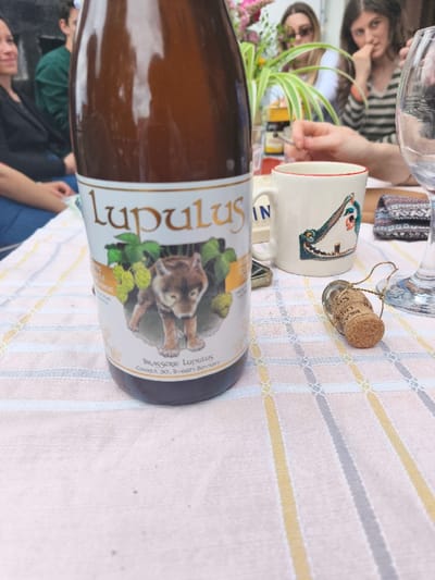 A bottle of "Lupulus" beer, featuring a wolf and hop vines, is the focal point of the image, situated on a checkered tablecloth. The bottle is centered in the frame, filling most of the lower half of the image. A white mug with a crocodile design is visible to the right of the bottle. A partially visible person in the background appears to be holding a wine glass. The image is taken at the location (50.829, 4.372), which corresponds to the Ixelles district in Brussels, Belgium. The scene appears to be a casual outdoor gathering, perhaps a picnic. The environment is characterized by a checkered tablecloth, suggesting a relaxed and informal setting. The presence of a beer bottle, a mug, and partially visible people further confirms this interpretation. The image portrays a convivial moment, highlighting the enjoyment of a gathering.