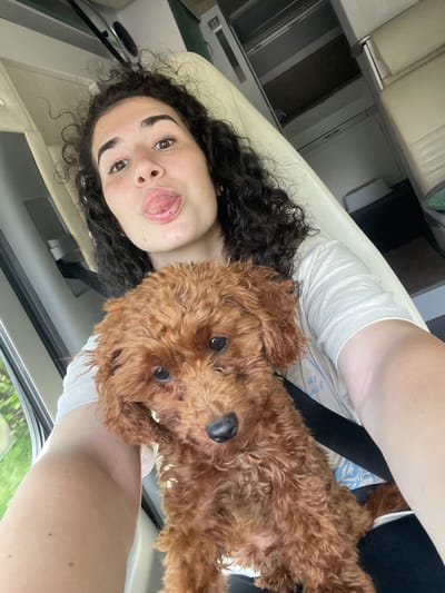 This image captures a young female and a small, reddish-brown, curly-haired dog (likely a poodle or doodle mix) inside a vehicle in Chelopech, Bulgaria. The female, with dark, curly hair and light skin, is positioned in the upper portion of the frame, looking directly at the camera with her tongue extended playfully. She wears a light-colored (possibly white) short-sleeved t-shirt. The dog is held in the lower central part of the frame, also looking towards the camera, its dark eyes prominent against its reddish-brown fur. A black seatbelt strap is visible across the female's chest and partially over the dog. The vehicle interior features light-colored (cream or beige) seating and what appears to be storage or overhead compartments in the background. A window on the left side reveals green foliage outside, indicating an outdoor, daytime setting.