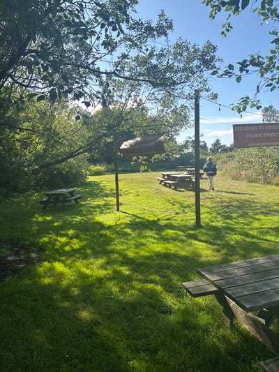 A verdant outdoor scene captures sunlight dappling a grassy area with picnic tables. A sign reading "WELCOME to RECESS" and "ENJOY YOUR TIME HERE" hangs between two poles. A person in a light jacket stands near one of the picnic tables, possibly looking at the ground. Trees frame the left side of the image, adding depth.