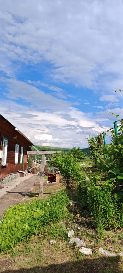 The image depicts a rural scene in Altayskoye, Russia. In the foreground, a pathway made of concrete runs alongside a wooden house with brown siding and white-trimmed windows. Lush green vegetation, including tall grass and bushes, borders the pathway and extends into the background. A wooden structure, possibly a well or a gate, stands in the middle ground. Further back, more greenery and trees are visible, with rolling hills in the distance under a bright blue sky with scattered white clouds. The overall impression is one of a sunny day in a rustic, natural setting.