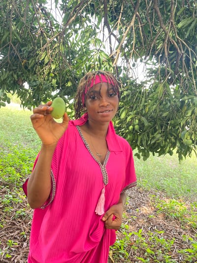 The image displays a woman standing outdoors in what appears to be a mango orchard or garden in Ogbe, Nigeria. She is positioned slightly to the right of the frame, looking directly at the viewer with a pleasant, faint smile.
The woman has dark skin and her hair is styled in dreadlocks or braids, partially covered by a vibrant pink headscarf that complements her attire. She is wearing a flowing, pleated fuchsia-pink garment, possibly a dress or kaftan, which features silver-toned chain-link trim along the V-neckline and sleeve cuffs. A decorative pink tassel hangs from the trim on her left side. Around her neck, she wears a delicate chain necklace with an infinity symbol pendant.
In her right hand, she holds a single, small, unripe green mango. Her left hand is partially clenched and rests at her side.
The background is dominated by a large mango tree (or similar fruit tree) to her left and behind her, laden with numerous unripe green mangoes visible among its dense foliage. The ground is covered with a mix of green grass and scattered dried leaves and twigs, suggesting a natural, uncultivated environment. The bright, even lighting indicates that the photograph was taken during the day, likely under a clear or lightly overcast sky.
There is no visible text in the image.