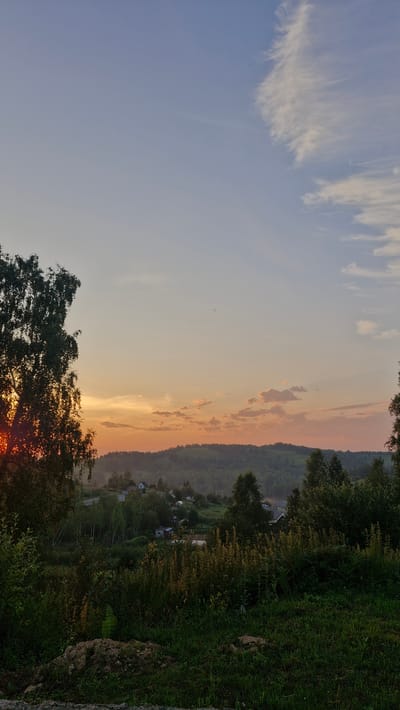 A picturesque rural landscape is captured at sunset in Kurbatovo, Russia. The sky transitions from a pale blue at the top to warm hues of orange and pink closer to the horizon, with wispy clouds scattered across. A large, leafy tree dominates the left foreground, its branches silhouetted against the sunset, with the sun's rays peeking through the leaves. In the middle ground, a small village is nestled amongst rolling hills covered in dense green trees. The village consists of several houses with light-colored roofs, surrounded by vegetation. The foreground is a grassy slope with patches of darker green grass and some dried, tall grass. The overall atmosphere is serene and tranquil.