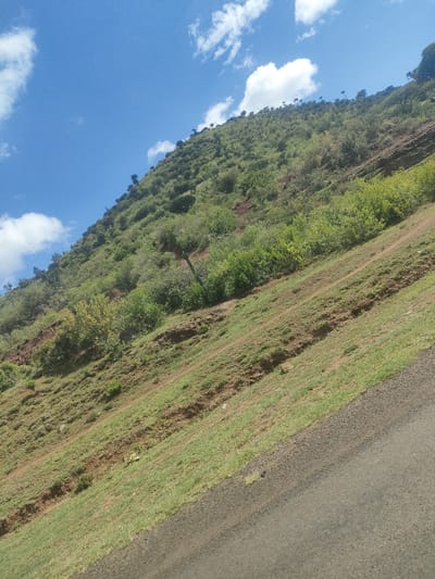 The image shows a grassy, tree-covered hillside in the Kisima ward of Kenya. The hillside slopes upward from the bottom left to the top right of the image. The trees and shrubs are green. Patches of bare brown soil are visible on the hillside. A paved road runs diagonally from the bottom left of the image, bordering the grassy hillside. The sky is blue with scattered white clouds.
