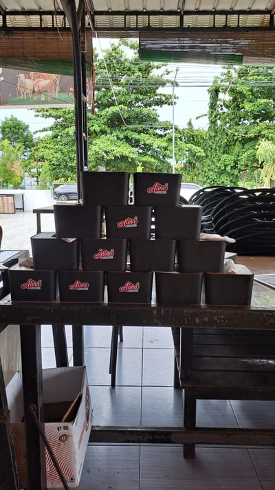 A stack of black rectangular boxes with a red and white logo is displayed on a table. The logo appears to be for "Alina" with smaller text below. The boxes are arranged in three rows, with the top row having two boxes, the middle row having three boxes, and the bottom row having four boxes. The boxes are positioned in front of an outdoor setting with lush green trees and a cloudy sky. In the background, a black car is parked near a building. To the right of the boxes, a stack of black circular objects is visible. Below the table, a cardboard box with red and white markings is partially visible. The scene suggests an outdoor dining or retail area.