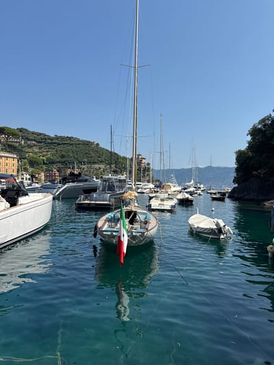 The image depicts a sunny day in the harbor of Portofino, Italy. The water is a clear, deep turquoise, reflecting the bright blue sky and the surrounding lush green hills dotted with colorful buildings. Numerous boats of various sizes are moored in the harbor. In the foreground, a small wooden boat flies the Italian flag. Behind it, larger yachts and sailboats are docked. The coastline is characterized by steep, verdant hills that rise dramatically from the sea, with characteristic Ligurian architecture featuring pastel-colored houses. The scene is tranquil, suggesting a peaceful moment in this picturesque Italian Riviera town.