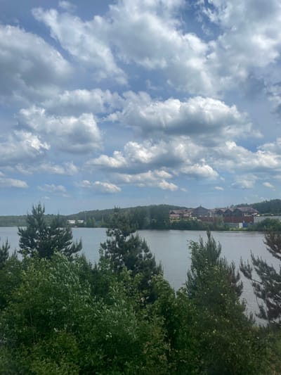 The scene depicts a panoramic view of a natural landscape with distant human development, located in Osel'ki, Russia. The upper two-thirds of the vertical frame are occupied by a sky exhibiting a mix of dense white and grey cumulus clouds against a clear blue background, indicating partly cloudy conditions.
The foreground consists of a dense layer of green foliage, dominated by various trees and bushes. Coniferous trees, identifiable as pines by their distinct needle-like branches, are prominent on the left and right edges, as well as interspersed within the central green mass. Deciduous foliage with lighter green leaves is also visible, partially obscuring the view of the water.
A calm body of water, likely a lake or wide river, extends across the middle ground, bordered by the foreground foliage. The water surface appears relatively still, reflecting the ambient light.
Across the water, the distant shore presents a treeline of dense forest, primarily green. Integrated into this forested landscape are multiple structures. Towards the right-center, several buildings with dark, multi-peaked roofs and lighter walls suggest a developed area, possibly a residential complex or resort. Further to the left along the distant shore, additional lighter-colored buildings or industrial structures are visible.
The overall lighting suggests daylight conditions, likely bright and diffused due to the cloud cover. No individuals or discernible human activity are present in the immediate or mid-ground.