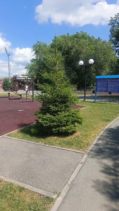 The image depicts an outdoor scene in the city of Kuybyshev, Russia, on a sunny day with scattered clouds. In the foreground, a small evergreen tree stands on a patch of grass bordered by a paved pathway and a gravel area. To the left, a children's playground with red rubberized surfacing features exercise equipment, including a seesaw and a bench. In the background, a small building with the sign "Chocolate Box" is visible, along with trees and a lamppost with two white globe lights. A blue informational board stands to the right of the tree. The overall environment suggests a park or recreational area within the city.