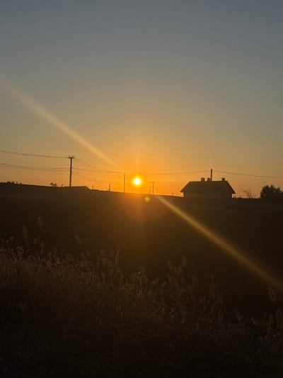 This image depicts a sunset over a rural landscape, likely near Mizhlymanske, Ukraine. The sun, a bright orange orb, is low on the horizon, casting a warm glow and creating lens flares that streak across the sky and down towards the foreground. The sky transitions from a pale blue at the top to a gradient of orange and yellow as it approaches the sun.
In the middle ground, a silhouetted house with a prominent roof and three chimneys stands against the vibrant sky. Several utility poles with power lines are also visible, running horizontally across the scene and connecting to the poles. The terrain appears to be hilly, with the house situated on an elevated point.
The foreground is dominated by dark, silhouetted vegetation, including tall grasses and some dried seed heads. The low light conditions obscure finer details of the plants, but their textures are visible against the brighter sky. The overall atmosphere is one of peaceful twilight in a countryside setting. There are no people visible in the image.