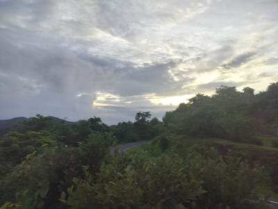 The image depicts a serene, natural landscape in Canacona, India, likely captured during a cloudy sunrise or sunset. The foreground is dominated by lush green foliage, with leaves and branches of various plants and trees creating a natural frame. These plants appear dense and healthy, hinting at a humid, tropical environment.

Beyond the immediate greenery, a winding asphalt road snakes through the landscape, disappearing into the dense vegetation. The road suggests human presence and access to the area, but no people are visible. The surrounding hills are covered in thick, verdant forests, with rolling contours extending into the distance. In the far background, silhouetted mountains are faintly visible against the sky.

The sky is a prominent feature, filled with dramatic, layered clouds. There are patches of sunlight breaking through the overcast, casting a soft, diffused light across the scene, particularly towards the right side of the image. This interplay of light and shadow adds depth and a sense of atmospheric beauty. The overall mood is peaceful and tranquil, evoking a feeling of calm and immersion in nature. The time of day is suggested by the soft, even light and the cloud cover, pointing towards either early morning or late evening. No text is visible in the image.