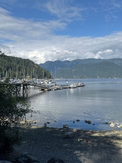 This is an outdoor, eye-level, vertical, medium shot of a marina in North Vancouver, Canada, on a partly cloudy day. The foreground shows a rocky shoreline with a few large boulders, and a tree branch hangs down from the upper left corner, casting shadows on the shore. The middle ground features a wooden pier extending into the water, lined with numerous sailboats and a few smaller boats. Several people are visible on the pier, some standing near a white boat. The background displays a calm body of water, with distant, tree-covered mountains rising on the horizon under a partially cloudy sky.