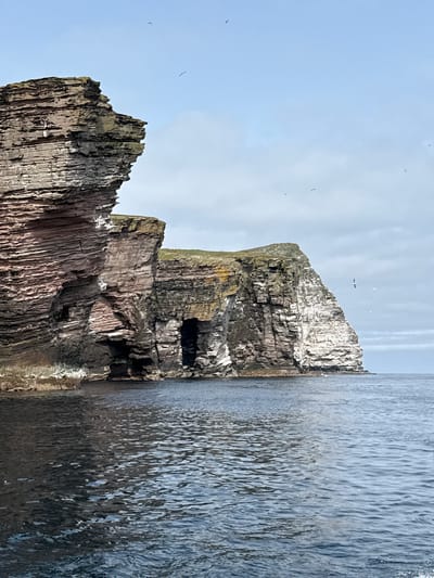 The image depicts a dramatic coastal landscape in Shetland, United Kingdom, featuring imposing sea cliffs. The cliffs are layered and show variations in color, with sections appearing reddish-brown and others a lighter grey and white. On the left, a large, rugged cliff face juts out, showing distinct horizontal striations. To the right, another cliff face presents a more varied texture and color, with a dark, cavernous opening visible near its base. The sea in the foreground is dark and choppy, reflecting the sky and the cliffs. The sky above is overcast with scattered clouds, and several birds are visible in flight around the cliffs and in the sky. The scene suggests a remote and wild environment, characteristic of the Shetland coastline.
