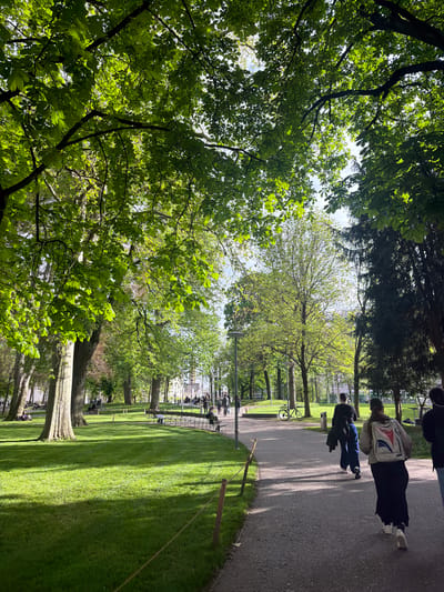 The image captures a vibrant park scene in Basel, Switzerland, on a bright, sunny day. The foreground is dominated by the lush green canopy of mature trees, with sunlight filtering through the dense leaves.
A wide, dark paved path stretches horizontally across the middle ground, where several people are seen. In the immediate foreground, two individuals walk away from the viewer: one wearing a light-colored jacket with red and blue accents, a dark skirt, and white shoes, followed by another person in a dark jacket and blue trousers. Further along the path and scattered across the expansive green lawns, more people are visible, some walking, others possibly relaxing on park benches.
The park features numerous trees with full, green foliage, indicating late spring or early summer. The sun casts distinct shadows across the grass and the paved path, suggesting a midday or afternoon setting with clear skies. Other visible objects include park benches, a street lamp, a bicycle parked near the path, and some wooden posts possibly marking off grassy areas.
The overall scene conveys a sense of peaceful outdoor activity, with people enjoying the pleasant weather in a well-maintained urban park. There is no visible text in the image.