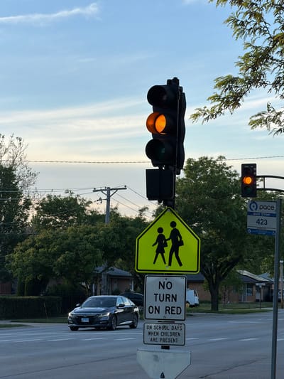 The image captures an intersection in the city of Niles, United States of America. The traffic light is yellow. Adjacent to the traffic light are signs indicating a school zone and restrictions on right turns on red when children are present. A PACE bus stop sign is also visible. In the foreground, a black car is stopped at the intersection. The surrounding environment includes trees, residential buildings, and utility poles.